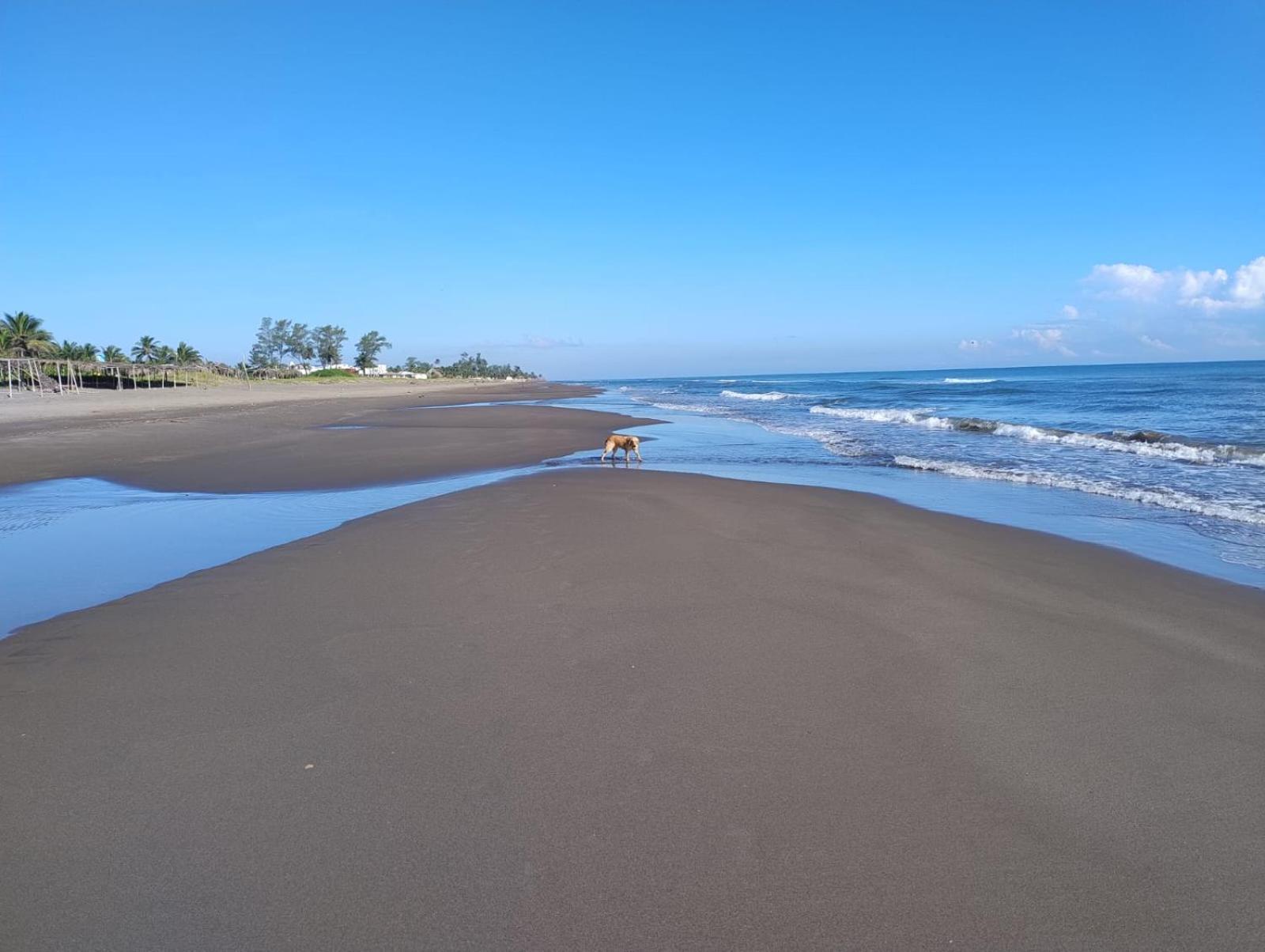 Playa Encantada Casitas Dış mekan fotoğraf